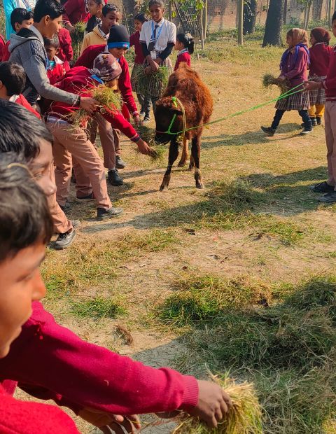 untitled design (15)